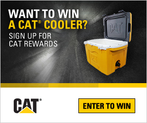 CAT Display Ad Example