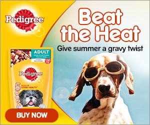 Pedigree Display Ad Example
